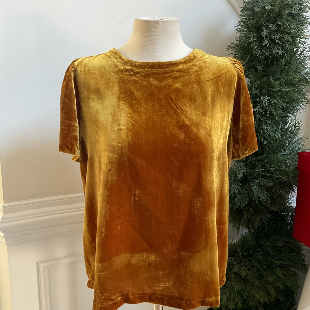LOFT Velvet Short Sleeve Blouse in Mustard Gold